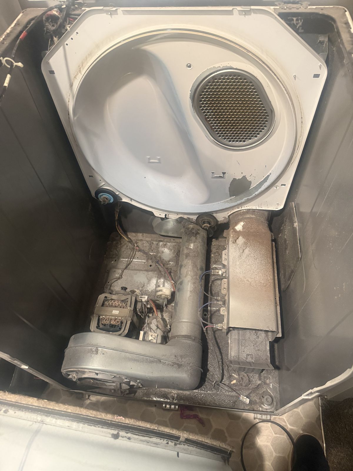 Appliance repair in progress — Olympia Appliance Team